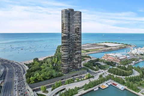 505 N Lake Shore Drive 5202 Chicago IL 60611