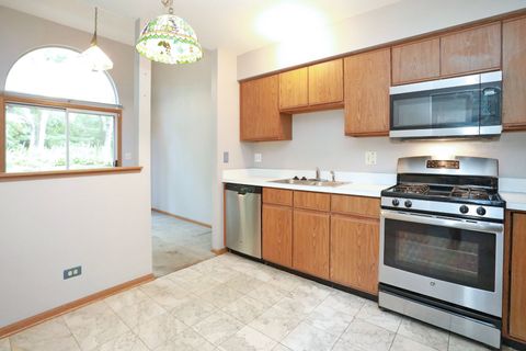 Tiny photo for 704 Shady Oaks Court, Elgin, IL 60120 (MLS # 12694059)