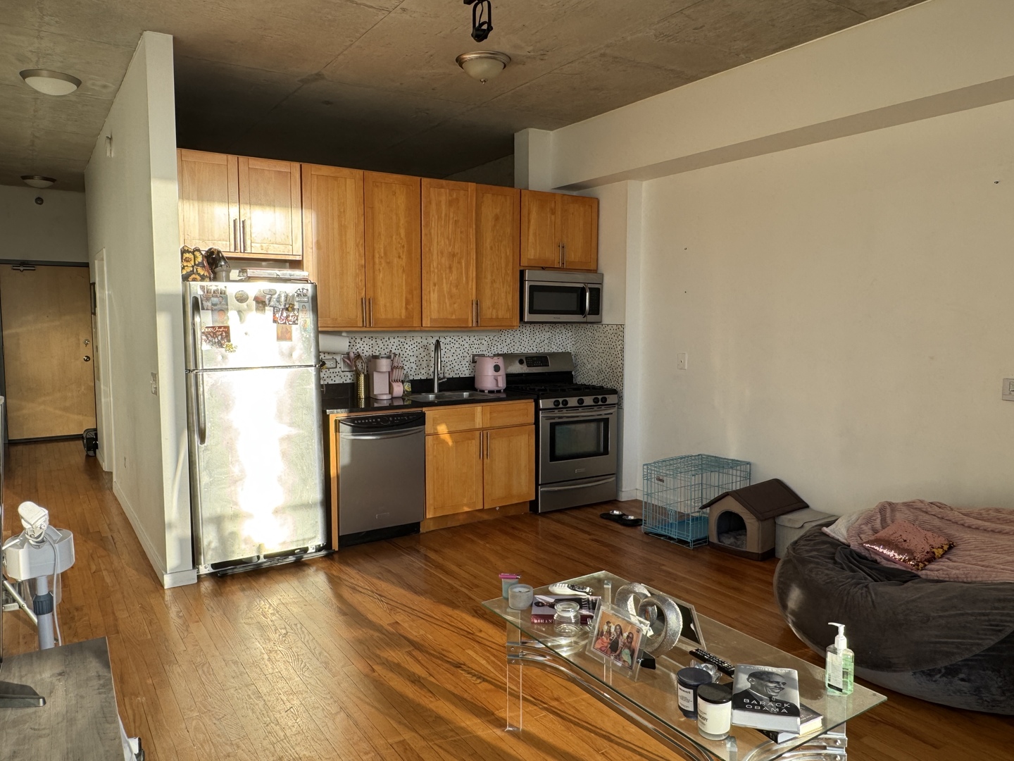 1620 S MICHIGAN Avenue 1016