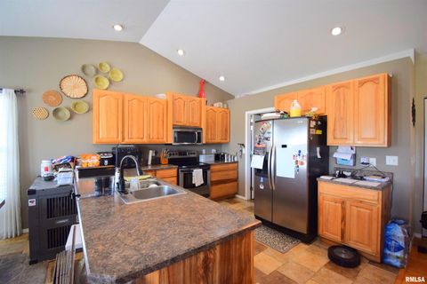 Tiny photo for 10341 N Puckett Lane, Mt Vernon, IL 62864 (MLS # EB460187)