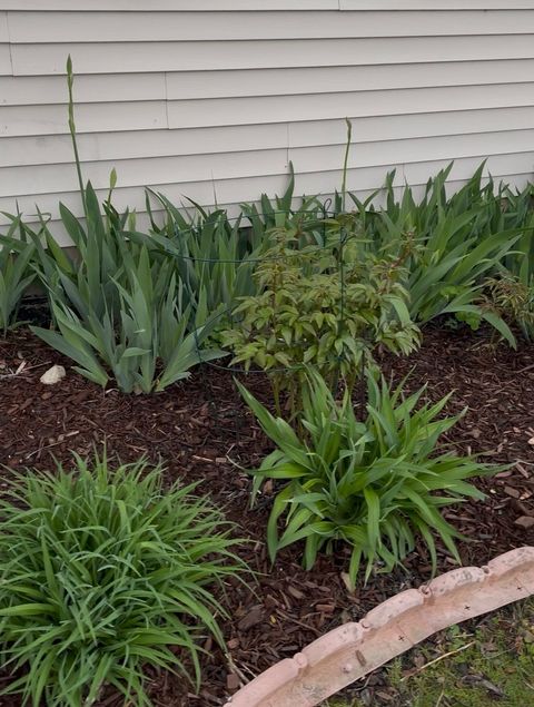 Tiny photo for 8021 Harrier Avenue, Joliet, IL 60431 (MLS # 12588946)