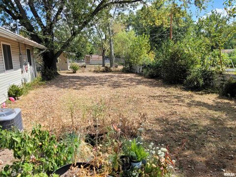 Tiny photo for 1133 W Boone Street, Salem, IL 62881 (MLS # EB459753)