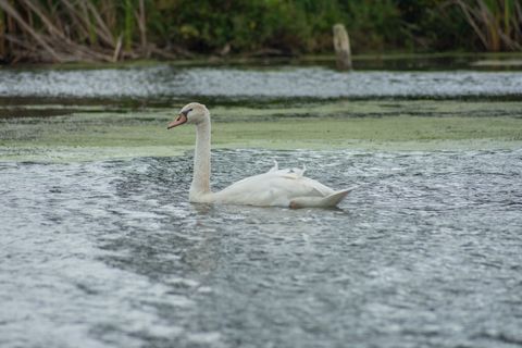 Tiny photo for 42161 N 1st Avenue, Antioch, IL 60002 (MLS # 12464377)