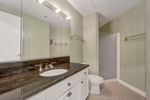 Tiny photo for Chicago, IL 60601 (MLS # 12660349)