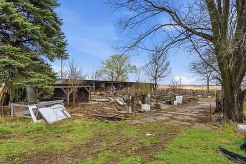 Tiny photo for 18995 N 2300th Avenue, Geneseo, IL 61254 (MLS # 12616106)