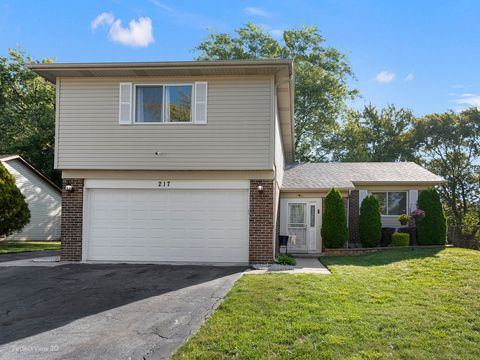 Photo of 217 Oriole Road, Matteson, IL 60443 (MLS # 12476527)