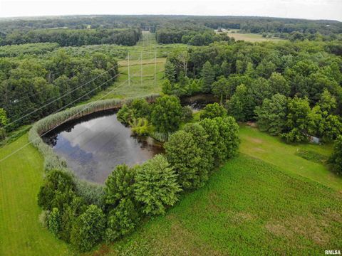 Tiny photo for 9758 E Richview Road, Mt Vernon, IL 62864 (MLS # EB459028)