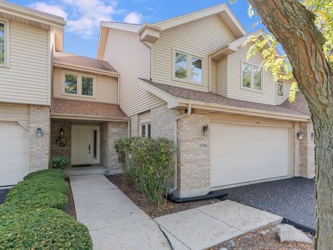 17105 Rochelle Lane Tinley Park IL 60487