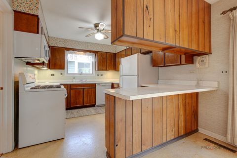 Tiny photo for 1407 N Douglas Avenue, Arlington Heights, IL 60004 (MLS # 12612327)