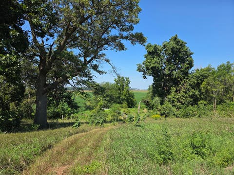 Tiny photo for 28453 E 2400 Street, Prophetstown, IL 61277 (MLS # 12739606)