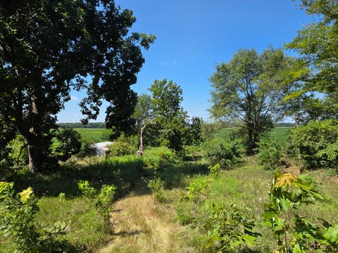 Tiny photo for 28453 E 2400 Street, Prophetstown, IL 61277 (MLS # 12739606)