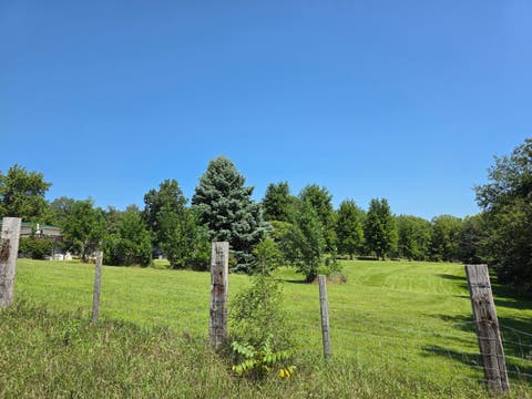 Tiny photo for 28453 E 2400 Street, Prophetstown, IL 61277 (MLS # 12739606)