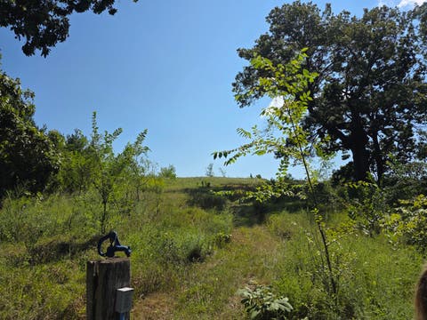 Tiny photo for 28453 E 2400 Street, Prophetstown, IL 61277 (MLS # 12739606)