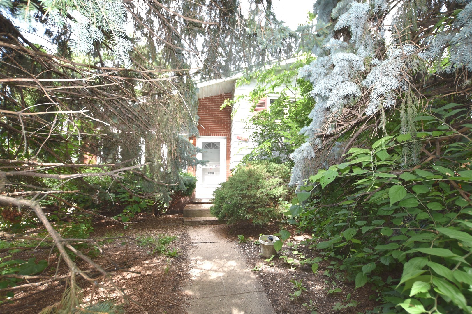 14 N May Street