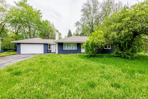 A home in South Holland