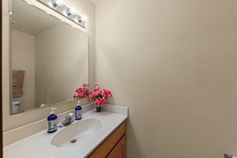 Tiny photo for Tinley Park, IL 60477 (MLS # 12785926)