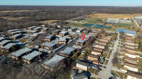 Tiny photo for 11133 East Road #E, Palos Hills, IL 60465 (MLS # 12532649)