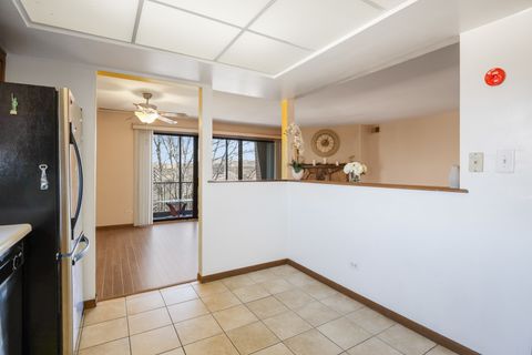 Tiny photo for 11133 East Road #E, Palos Hills, IL 60465 (MLS # 12532649)