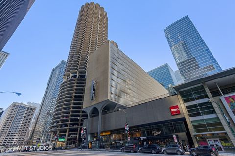 300 N State Street 2125 Chicago IL 60654