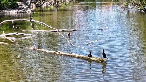 Tiny photo for 6008 LAKE Drive E #1A, Lisle, IL 60532 (MLS # 12507502)