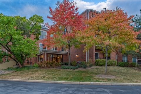 A home in Elk Grove Village