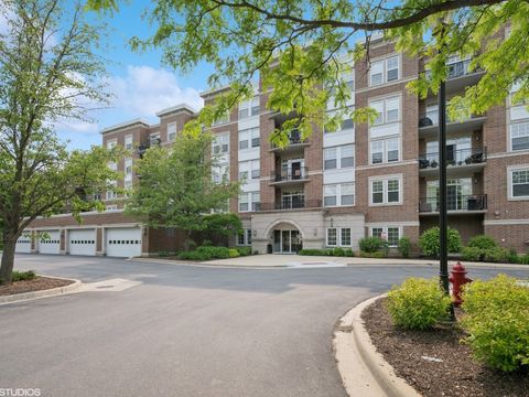 455 W Wood Street 210 Palatine IL 60067