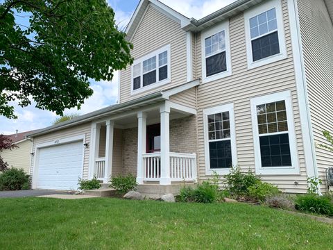 1453 Bluestem Lane Minooka IL 60447