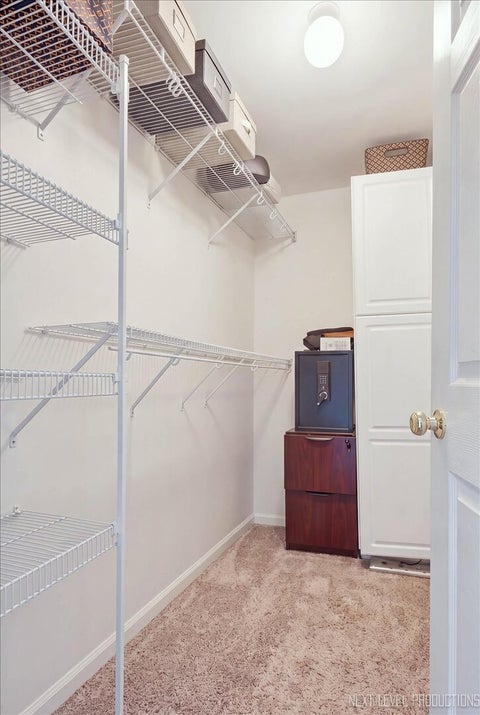 Tiny photo for 257 Nicole Drive #C, South Elgin, IL 60177 (MLS # 12791507)