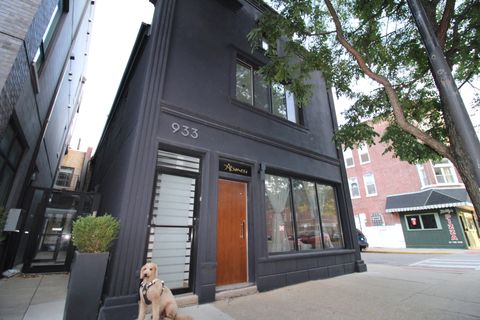 933 N Ashland Avenue 2F Chicago IL 60622