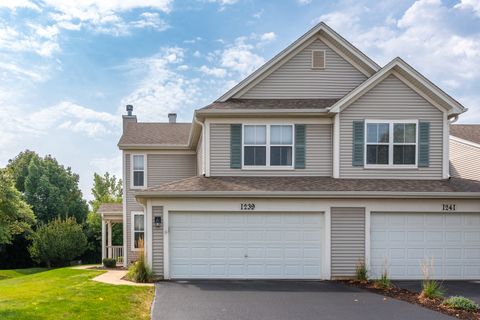 Photo of 1239 Spaulding Road, Bartlett, IL 60103 (MLS # 12472780)