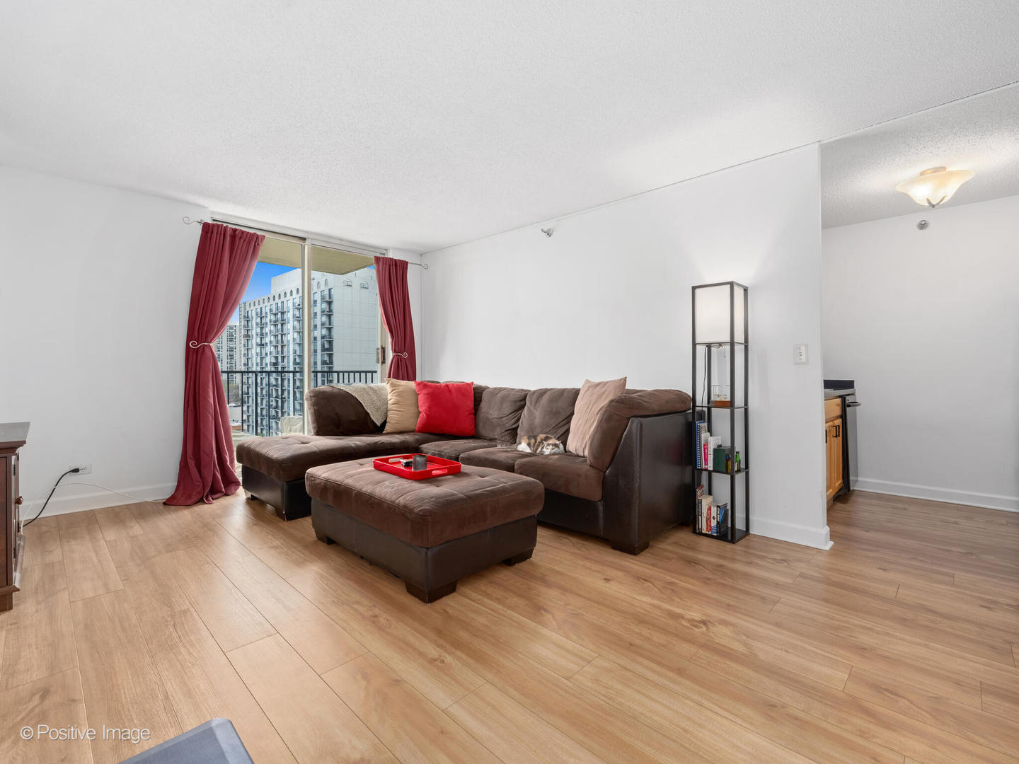 1212 N Lasalle Street 1008