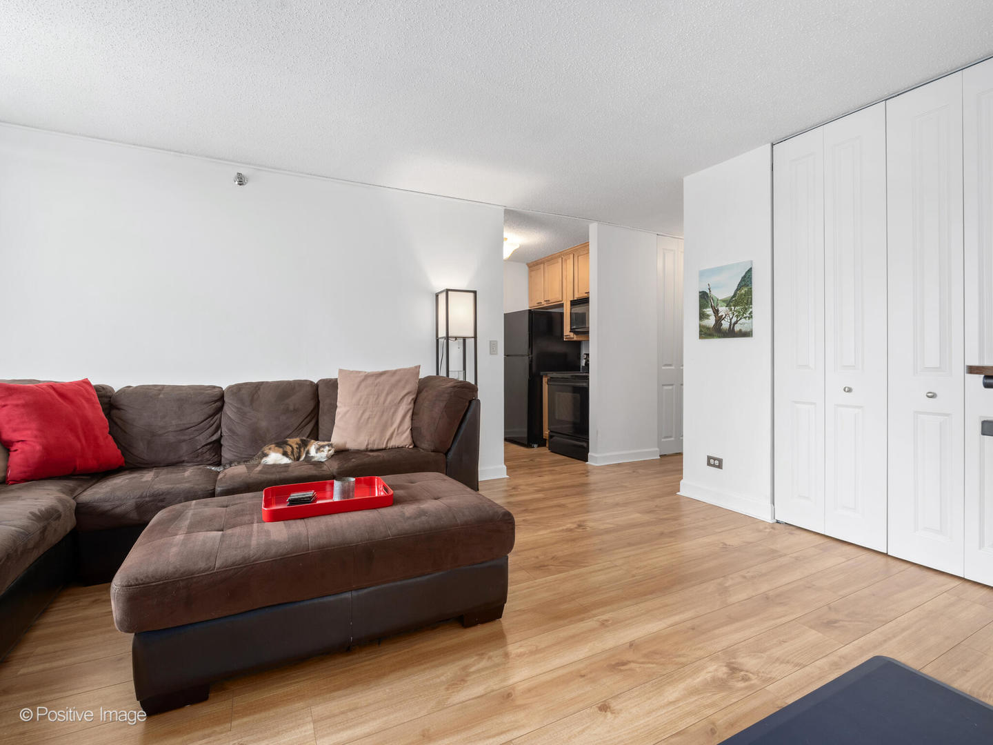 1212 N Lasalle Street 1008
