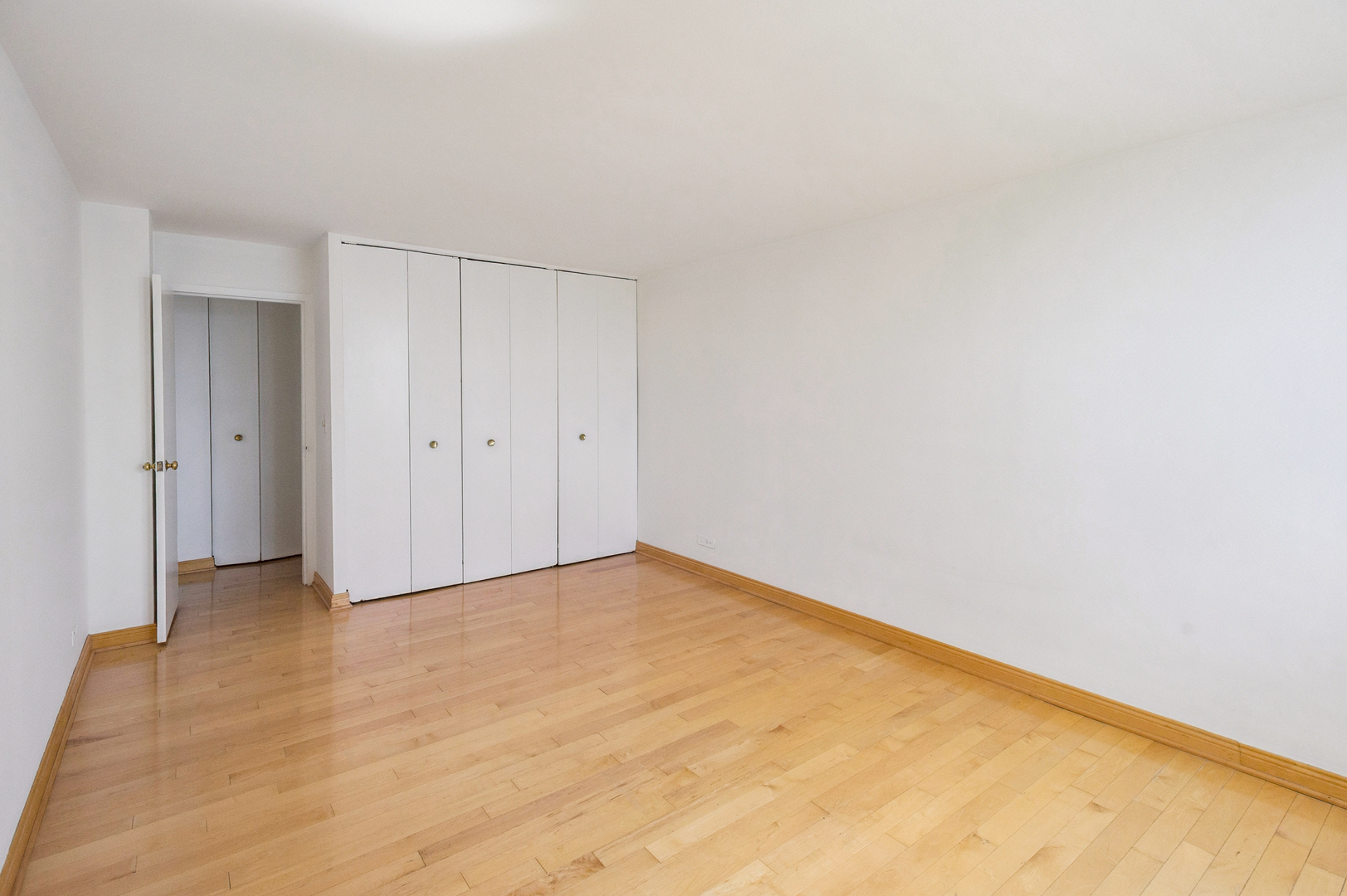 Chicago, Illinois 60601, United States, 1 Bedroom Bedrooms, ,1 BathroomBathrooms,Residential,Active,208753