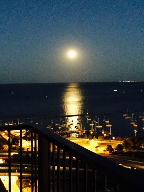 Chicago, Illinois 60601, United States, 1 Bedroom Bedrooms, ,1 BathroomBathrooms,Residential,Active,208753