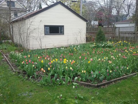 Tiny photo for 2500 Thayer Street, Evanston, IL 60201 (MLS # 12571351)