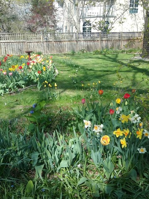 Tiny photo for 2500 Thayer Street, Evanston, IL 60201 (MLS # 12571351)