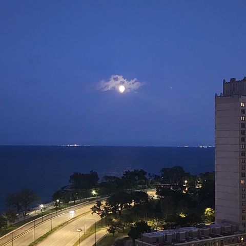 Tiny photo for 4800 S Chicago Beach Drive #1811S, Chicago, IL 60615 (MLS # 12482924)