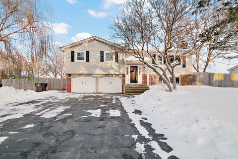 Photo of 214 Somerset Court, New Lenox, IL 60451 (MLS # 12529181)