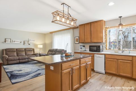 Tiny photo for 916 Essex Court, McHenry, IL 60050 (MLS # 12598152)