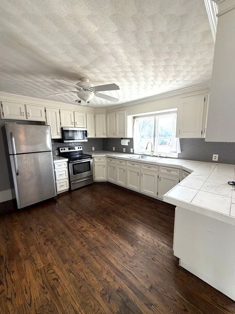 Tiny photo for 401 North Street, Mazon, IL 60444 (MLS # 12571024)