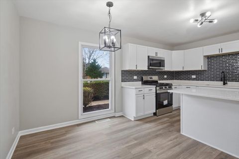 Tiny photo for 972 Osage Court, Carpentersville, IL 60110 (MLS # 12628352)
