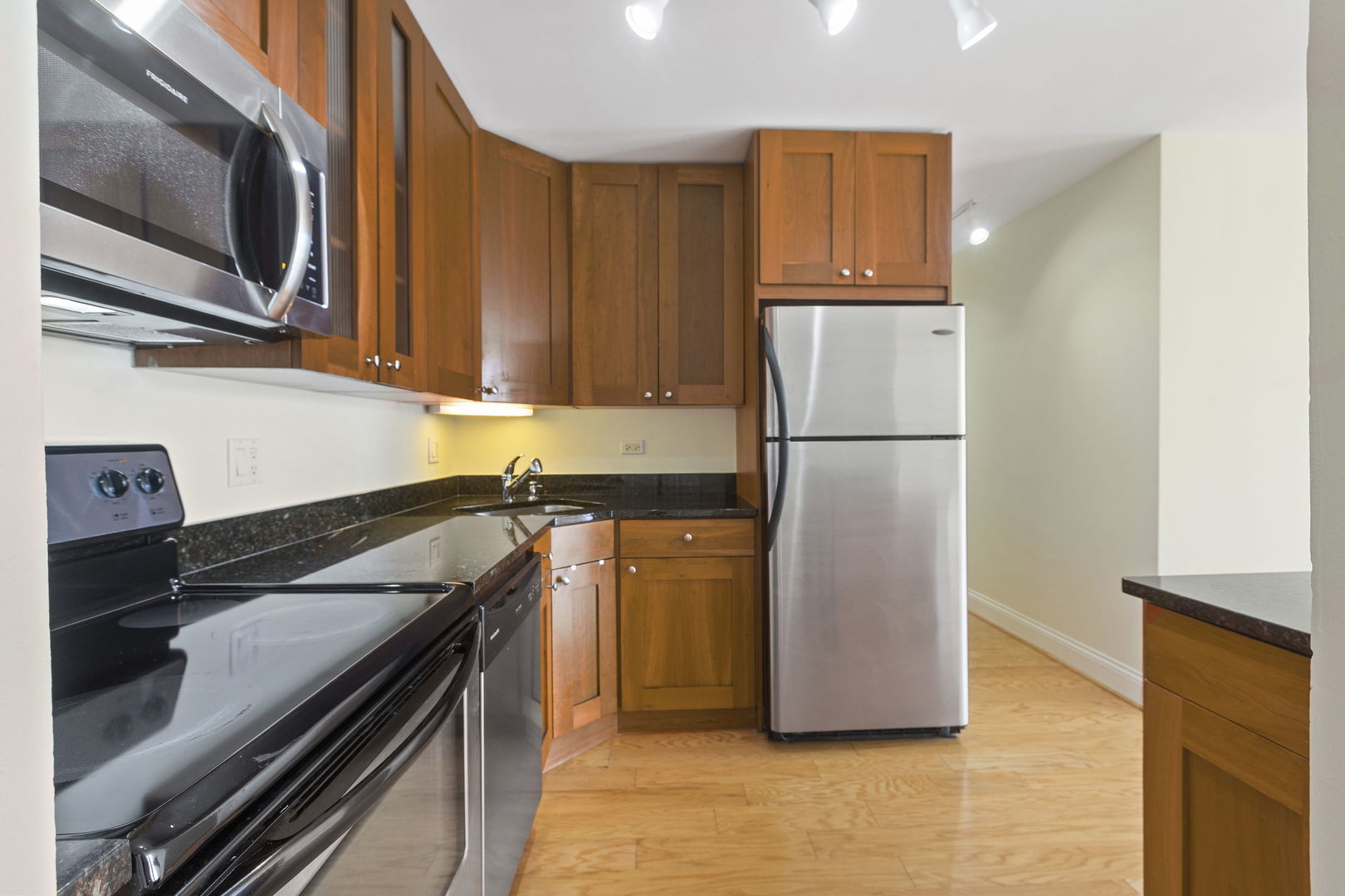 450 W Briar Place 13C
