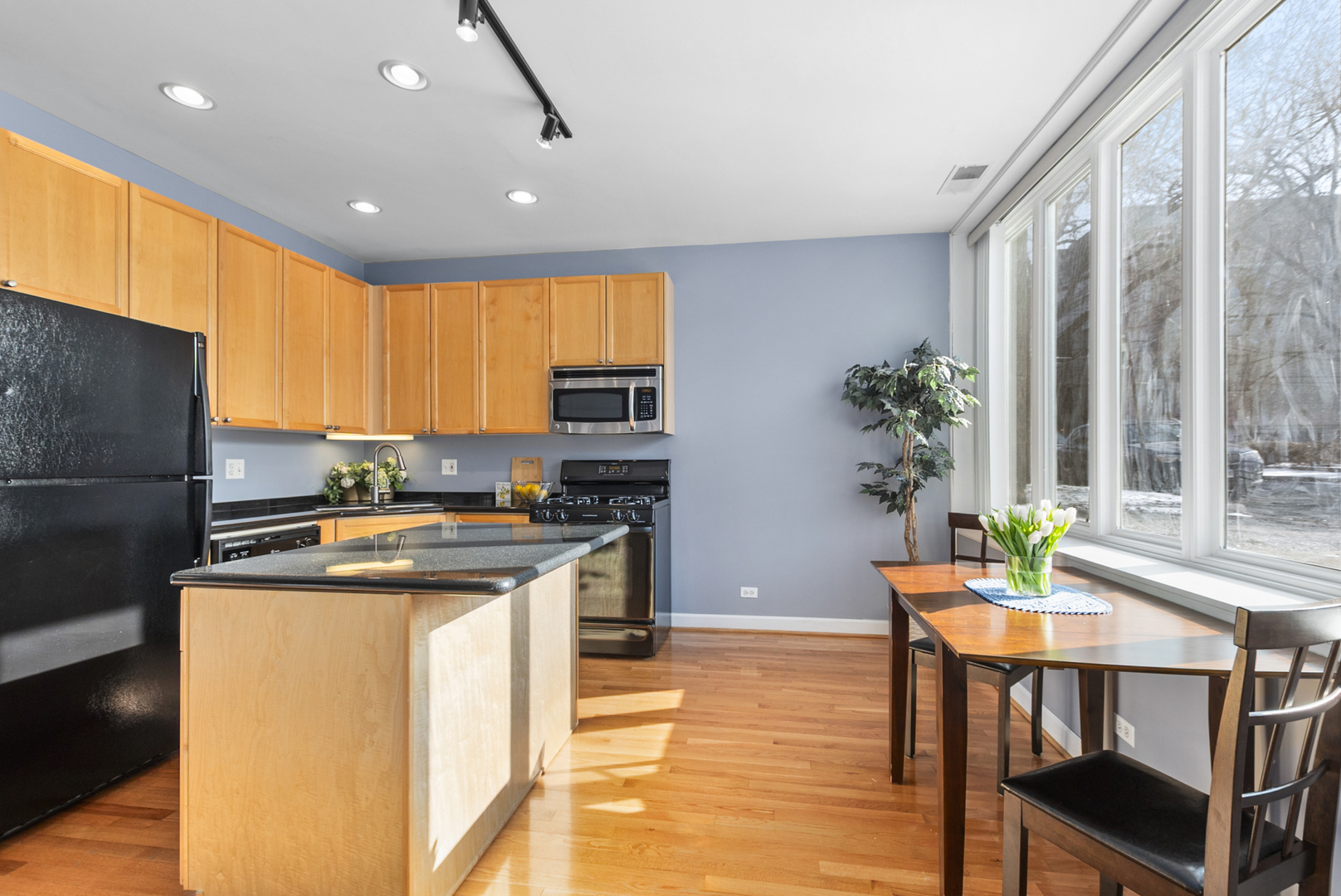 1636 W Melrose Street 102