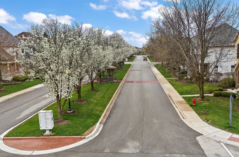 Tiny photo for 10164 Frankfort Main, Frankfort, IL 60423 (MLS # 12618238)