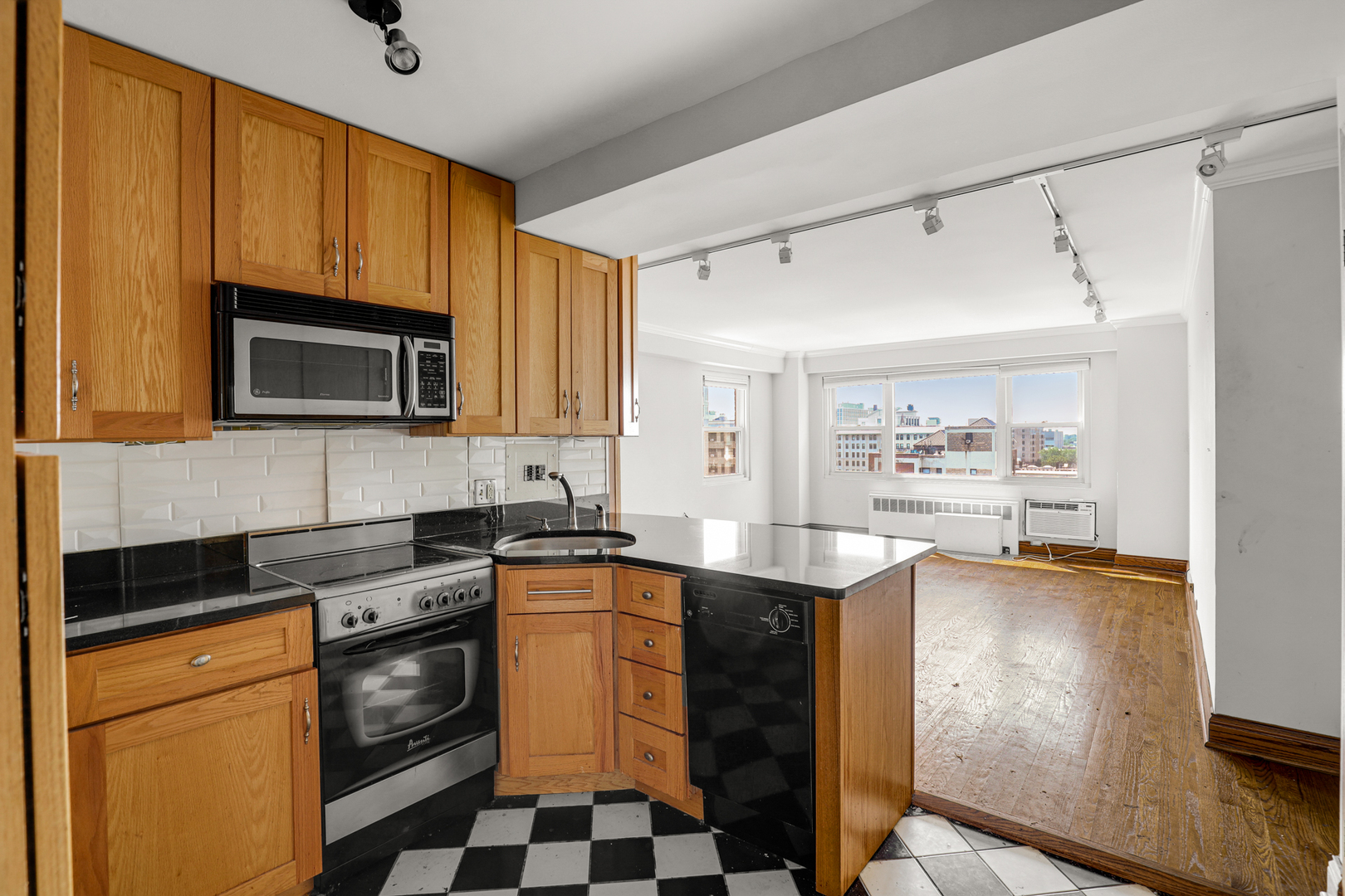 2909 N Sheridan Road 1105