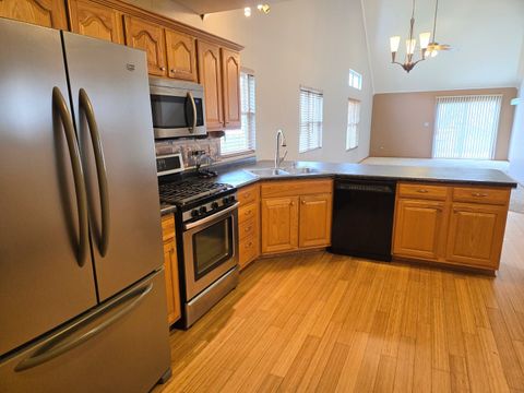 Tiny photo for 130 S McGinty Street, Diamond, IL 60416 (MLS # 12604967)