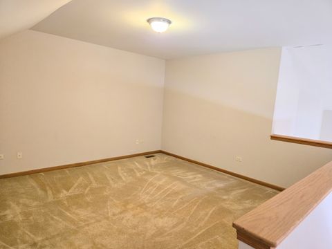 Tiny photo for 130 S McGinty Street, Diamond, IL 60416 (MLS # 12604967)