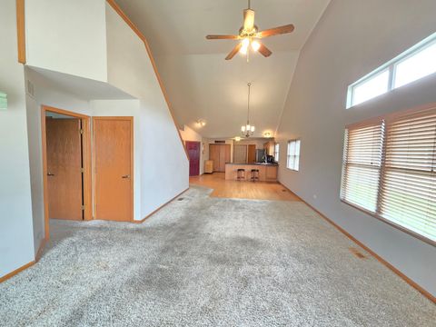Tiny photo for 130 S McGinty Street, Diamond, IL 60416 (MLS # 12604967)