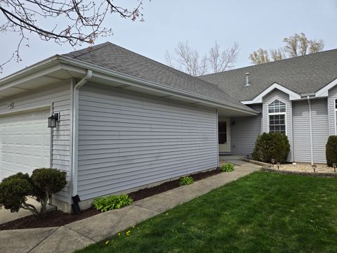 Tiny photo for 130 S McGinty Street, Diamond, IL 60416 (MLS # 12604967)