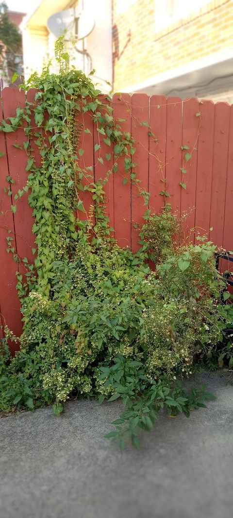 Tiny photo for Chicago, IL 60615 (MLS # 12527926)